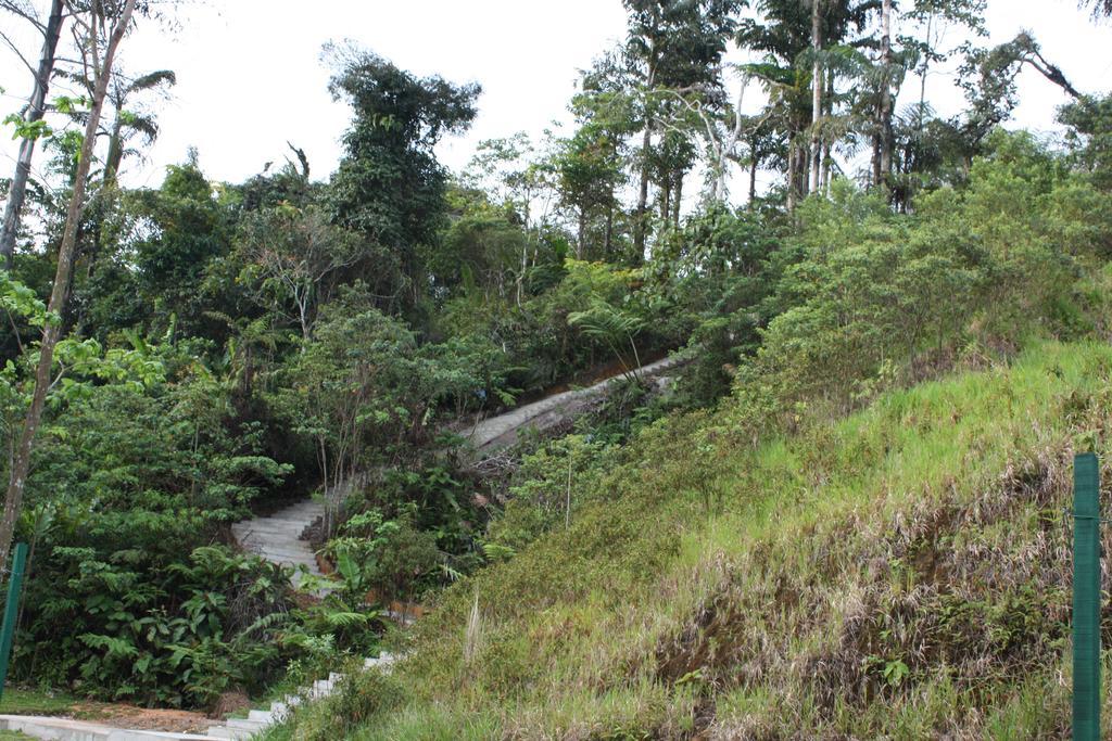 Cameron Golden Hills Resort Tanah Rata Ngoại thất bức ảnh